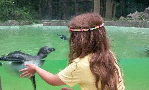 Německo – navštivte Zoo Zittau